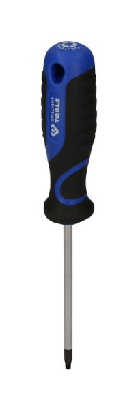 Brilliant Tools schroevendraaier TORX, T20, BT034907