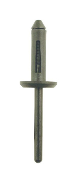 KS Tools kunststof klinknagels voor VW, verpakking van 10, 420.1870