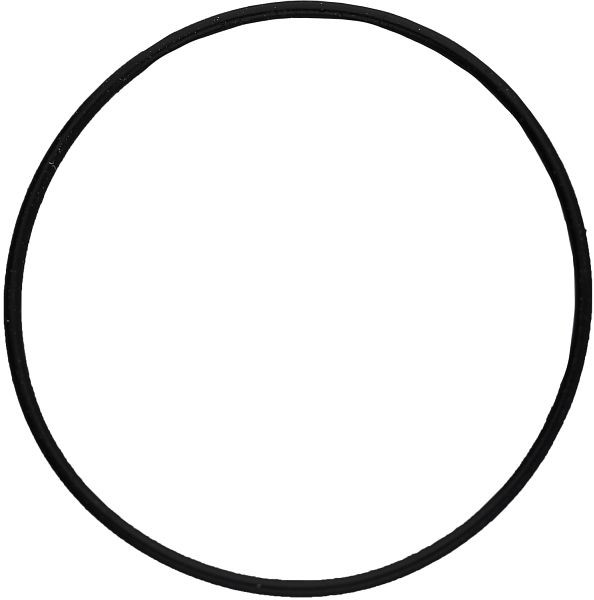 KS Tools O-ring, 515.1625-R014P