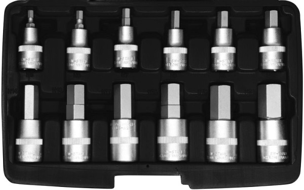 SW-Stahl schroevendraaierbits, 1/2", binnenzeskant, 5-22 mm, 12 stuks, 04950L