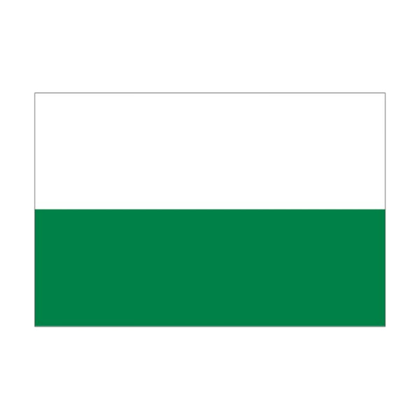 Stein HGS HGS staatsvlag van Saksen (zonder wapen), 120 x 200 cm (liggend formaat), met touw en lus, FlagTop 160 g/m², voor vlaggenmasten 7 m, zonder ajourzoom, 26533