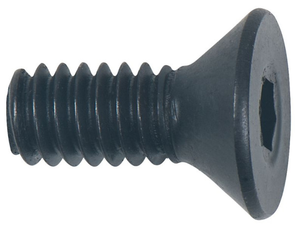 KS Tools verzonken kopschroef, 515.5550-R005P