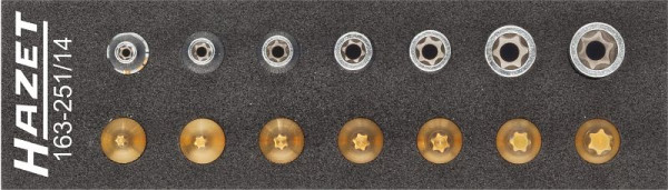 Hazet gereedschapsset, TORX®, hol vierkant 6,3 mm (1/4 inch), buiten TORX® profiel, binnen TORX® profiel, E4 - E11, T10 - T40, aantal gereedschappen: 14, 163-251/14
