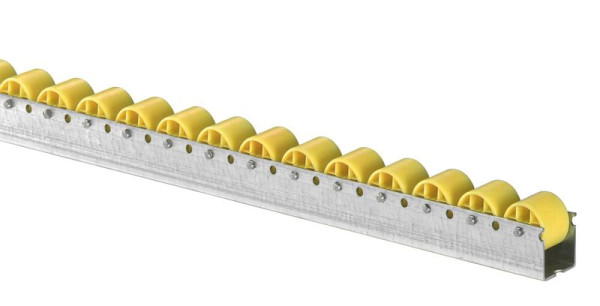 BS rollen rollenbaan met normale rollen diameter 30 mm, steek 66 mm, 417.001