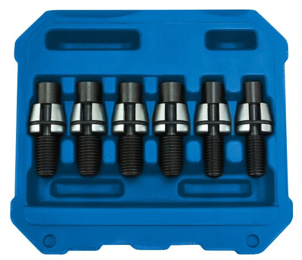 SW-Stahl bevestigingsboutset Audi/VW, 6-delig, 26507L