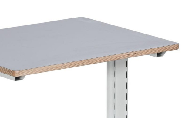ANKE werkblad KSP (berken multiplex) om op te schroeven; 900 x 720 x 28 mm; Kunststof laagplaat, 960.583