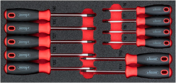VIGOR TORX® schroevendraaierset, binnen TORX® profiel, T6 - T40, aantal gereedschappen: 11, V4991