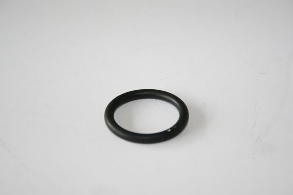 ELMAG O-ring passend voor onderdeelnr. 13+14 voor 'ROLL WATER EVO', 9402328