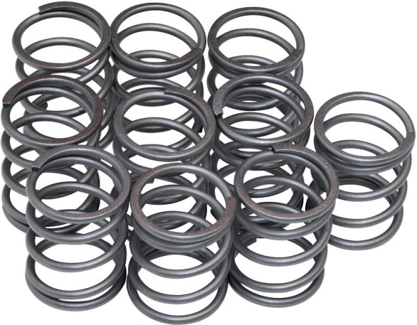 Hazet veer, set van 10 stuks voor 9013 SPC, nettogewicht: 0,14 kg, 9013SPC-05/10