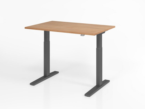 Hammerbacher bureau XMKA12, 120 x 80 cm, blad: walnoot, 25 mm dik, ABS dikke rand, rechthoekige vorm, grafiet, VXMKA12/N/G
