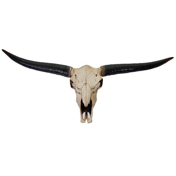Mendler decoratieve schedel 132cm HWC-A14, polyresin stier longhorn hoofd trofee, binnen/buiten, natuurlijke kleur, 57118