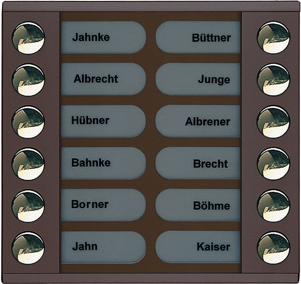 TCS beldrukkeruitbreiding voor audio voordeurstation serie PES/AVE 12 beldrukkers (rechts/links uitgelijnd), AP brons, PET12-EB/04