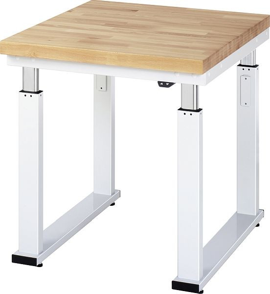 RAU werkbank serie adlatus 600 (elektrisch in hoogte verstelbaar), 750x900x900 mm, 08-WB-075-090-B