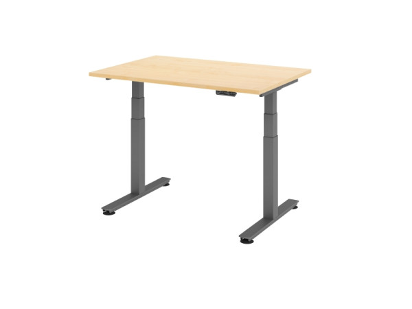 Hammerbacher zit-sta bureau elektrisch 120x80cm esdoorn, VXDSM12/3/G
