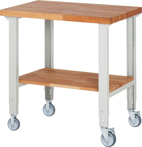 RAU verrijdbare werkbank (in hoogte verstelbaar) 7000-7, 1000x700x950-1000mm, elk 2 bokwielen en zwenkwielen, 05-7000-7-107B4H22.12