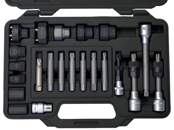 SW-Stahl bitset voor vrijlooppoelie, 1/2", 22-delig, 05275L