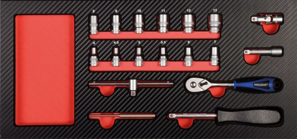 Projahn 1/4"Xi-on gereedschapset insert 18 delig, 5999-511