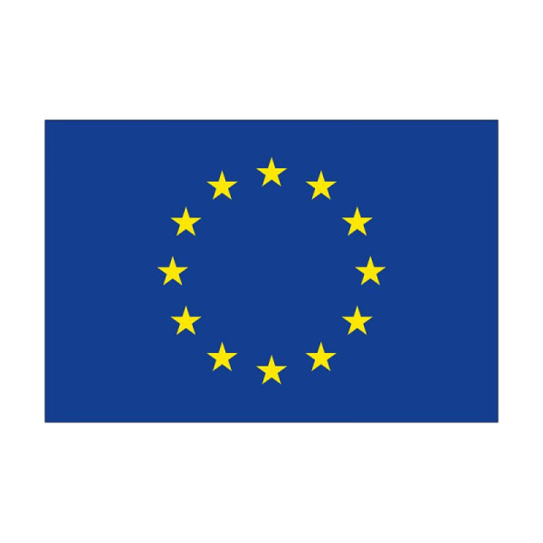 Stein HGS HGS Europese vlag, 60 x 90 cm (liggend formaat), met touw en lus, FlagTop 110 g/m², voor vlaggenmasten 6 m, zonder ajoursteek, 26704