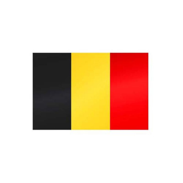 Stone HGS landenvlag België, 300 x 120 cm (staand formaat), met kunststof karabijnhaak, FlagTop 160 g/m², voor vlaggenmasten 7 m, met ajoursteek voor Ø 4 cm boom, 26811