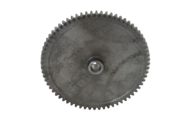 ELMAG tandwiel (STAAL), 9802220