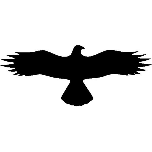 Stein HGS HGS sticker buizerd, vogelbescherming, wit, 21.5882