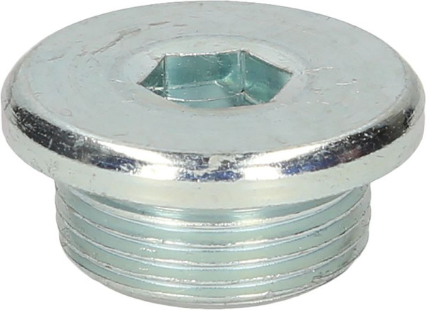 KS Tools olieaftapschroef, binnenzeskant 10mm, M24x1,5x9mm, verpakking van 10, 430.1023