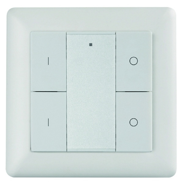 rutec Projekt draadloze muurknop 2-kanaals draadloze muurknop 2 ZONES enkele kleur, PHZ571