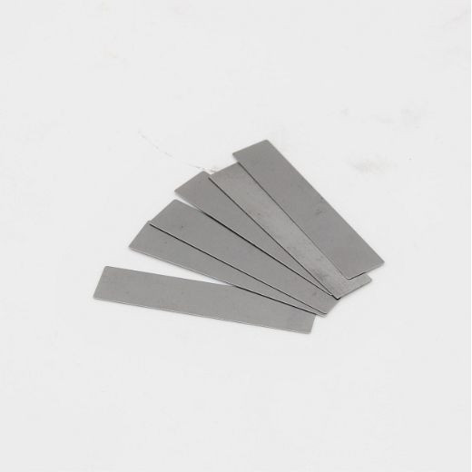 ELMAG ventielplaat 'los', 10x48x0,2mm passend voor BERNERCOMP. 3-08-115 Artikel 48910COMP. 8/10/165 Artikel 48908, 9010500