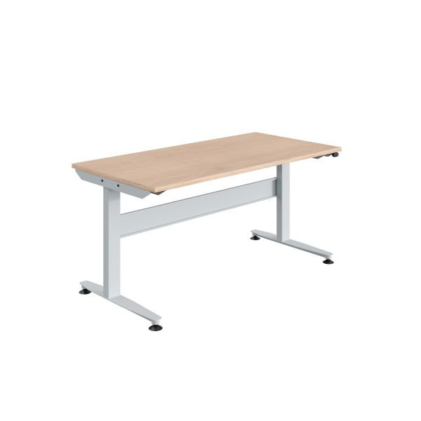 SOFAME REGULOG werktafel, elektrisch in hoogte verstelbaar, 1200 x 750 x 724 tot 1124 mm, multiplex werkblad 24 mm, lichtgrijs RAL 7035, W010140003GC