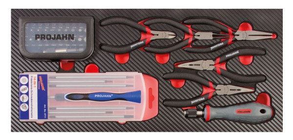 Projahn precisie gereedschap inzetstuk 45 stuks, 5999-161