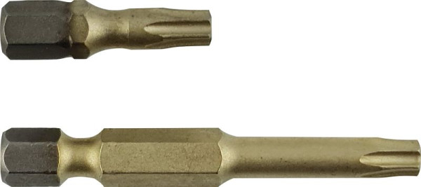 Projahn 1/4" STAR bit lengte 25mm TX10 ZrN pak van 10, 1780310-10
