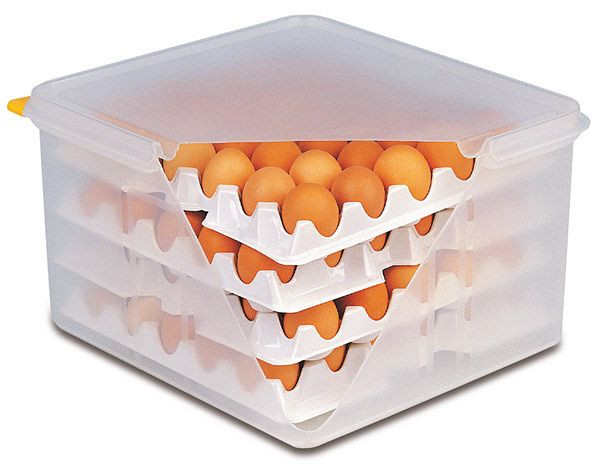 APS GN 2/3 eierdoos, 35,4 x 32,5 cm, hoogte: 20 cm, polypropyleen (doos + deksel), polystyreen (inzetstukken), met luchtdicht deksel, 82419