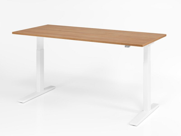 Hammerbacher bureau XMKA19, 180 x 80 cm, blad: walnoot, 25 mm dik, ABS dikke rand, rechthoekige vorm, wit, VXMKA19/N/W