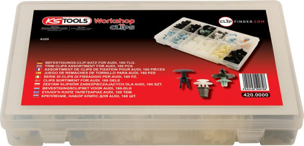 KS Tools bevestigingsclipset voor Audi, 160-delig, 420.0000