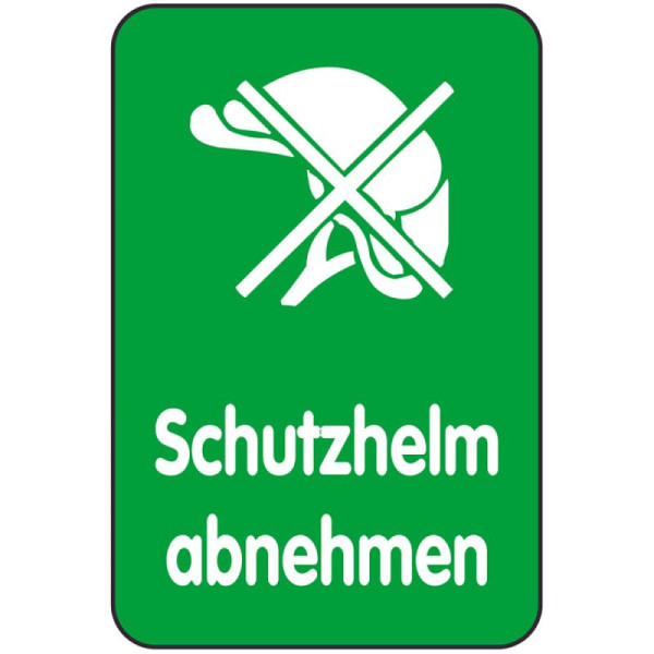 Stein HGS HGS speeltuinbord, veiligheidshelm afneembaar, 400 x 600 mm, 14854