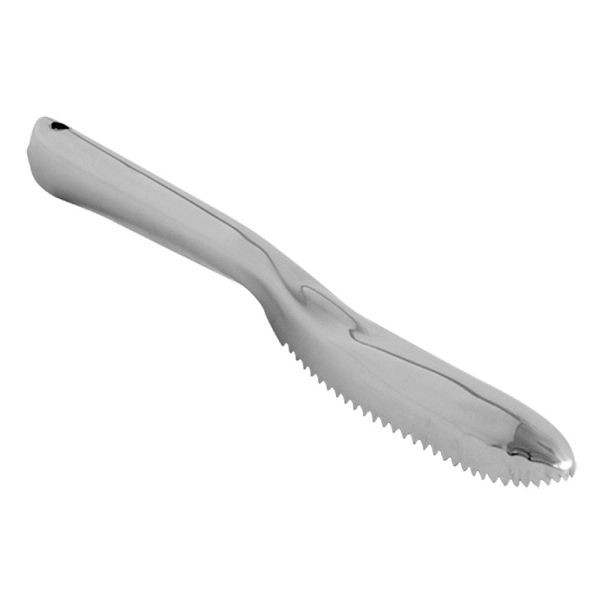 Stalgast visschaler, lengte 23,5 cm, KK1708235