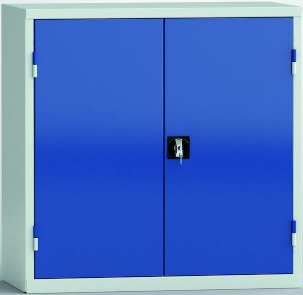 KLW universele kast, 1000 x 1000 x 490 mm, vleugeldeuren, 2 planken, 7FN-NH1000TD-0204XRB