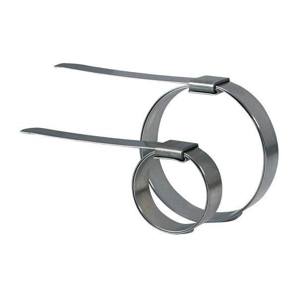 ELMAG slangklem voor flessenschudders, V2A roestvrij staal, bandbreedte: 9,5 mm (3/8'), binnendiameter: 38 mm (1 1/2'), 9601996