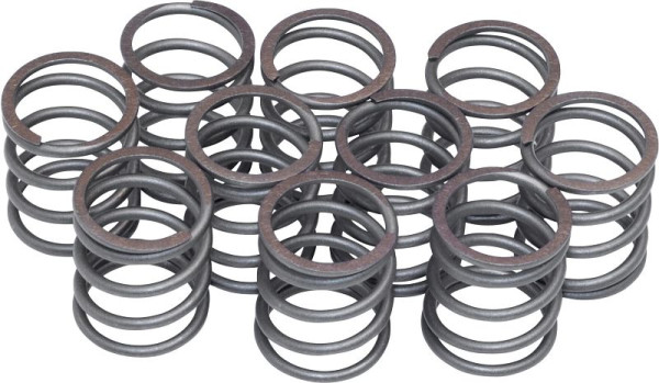 Hazet veer, set van 10 stuks voor 9012 SPC, nettogewicht: 0,09 kg, 9012SPC-05/10