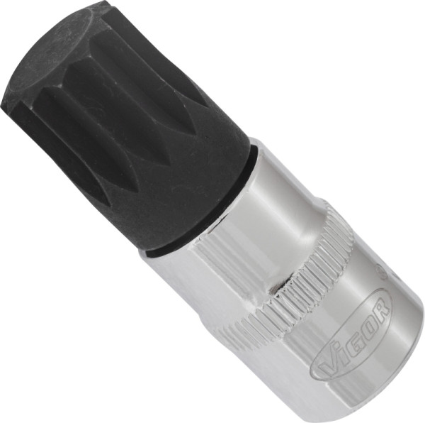 VIGOR schroevendraaierbit, hol vierkant 10 mm (3/8 inch), inwendig meertands profiel XZN, M16, V6113
