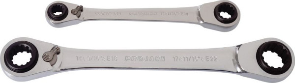 Projahn GearTech 63 in 2 dubbele ringsleutelset 2 delig, 8-10 + 11-13 en 14-16 + 17-19, 3466