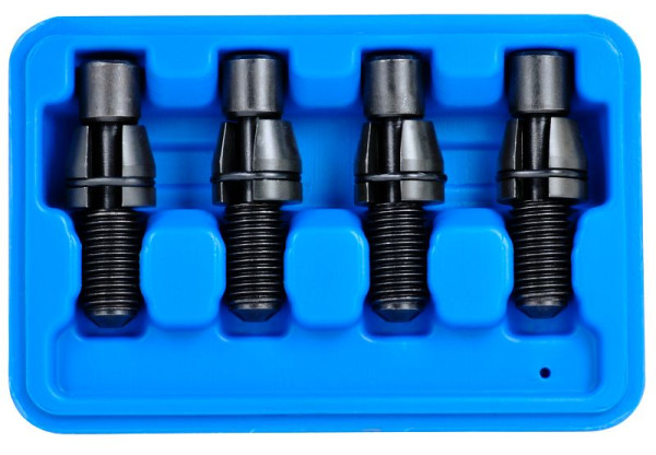 SW-Stahl bevestigingsboutset Audi/VW, 4-delig, 26504L