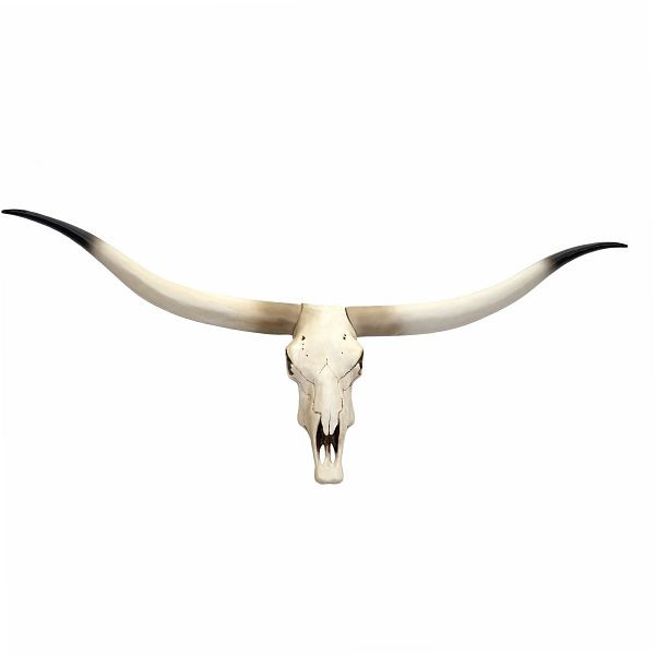Mendler decoratie koeienschedel HWC-D32, stierenkop stier dierenkop longhorn trofee, polyresin 103x43x11cm, 62698