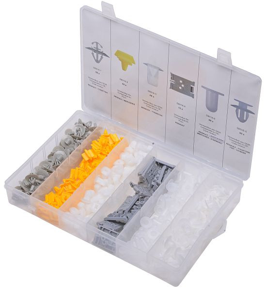 SW stalen bevestigingsclip assortiment, Renault, S8018