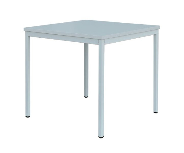 Lüllmann vergadertafel, 750 x 800 x 800 mm, lichtgrijs/lichtgrijs, 331010