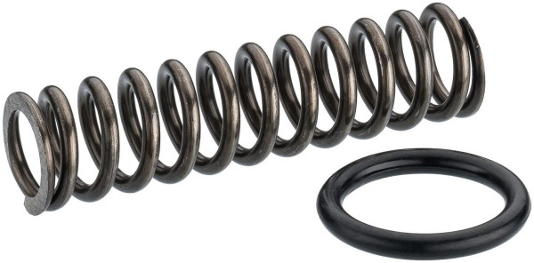 Hazet veerset, met steunring, 9037SPC-012/3