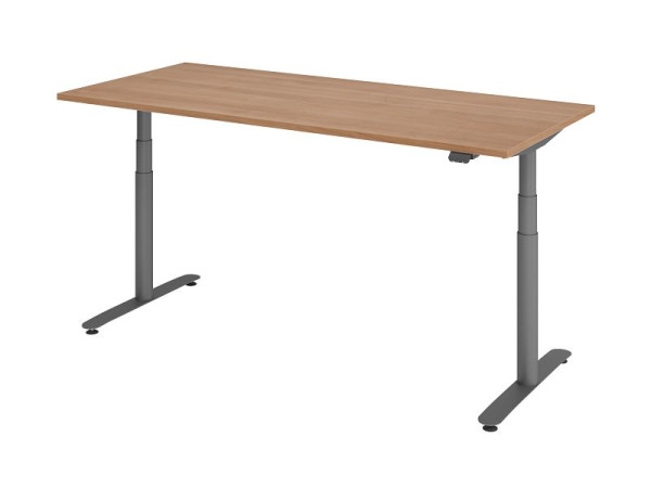 Hammerbacher zit-sta bureau elektrisch 180x80cm walnoot/grafiet, VXDLR19/N/G