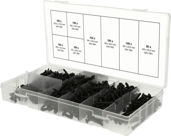 KS Tools assortiment plaatschroeven, M2, 5-M3, 750 stuks, 970.0800