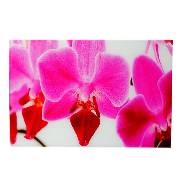 Mendler glas foto T116, muurschildering poster motief, 40x60cm, orchidee, 34251