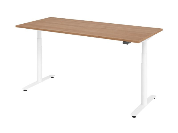 Hammerbacher zit-sta bureau elektrisch 180x80cm walnoot/wit, VXDLR19/N/W